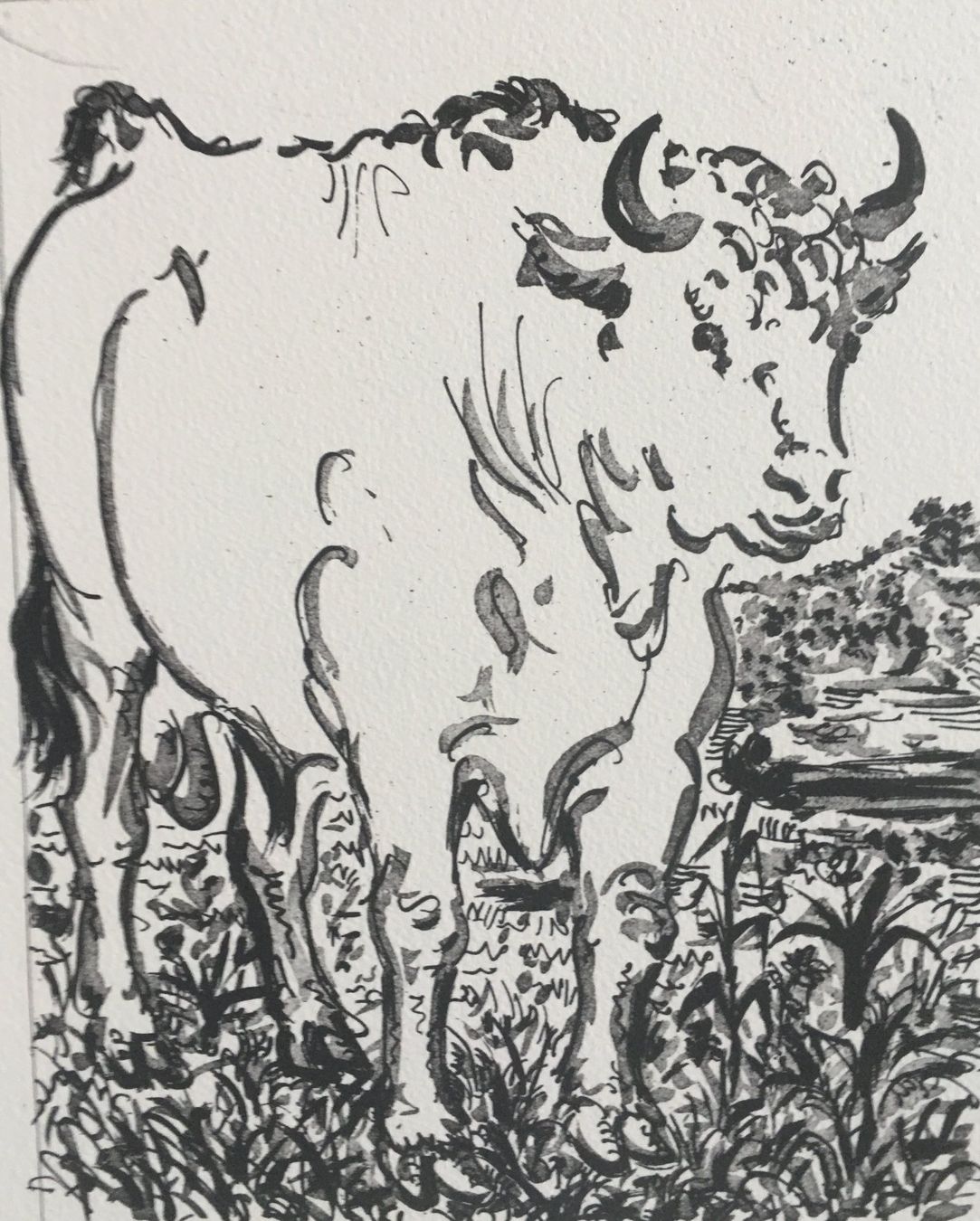 Grafica & Litografie: Pablo Picasso   Buffon Zyklus   "Le Boeuf"    Lithographie – Nuovo e nell'imballaggio originale da Nennigkofen venduto da Sommersonnen 4