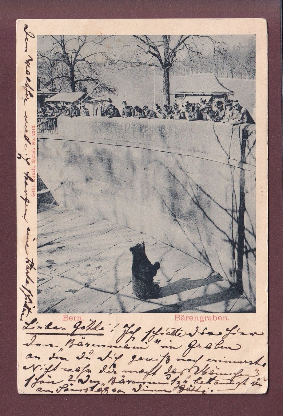 Ansichtskarten: BERN - Bärengraben - 1900 // Eckbug // – Gebraucht aus Pully von nicecards