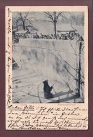 BERN - Bärengraben - 1900 // Eckbug //