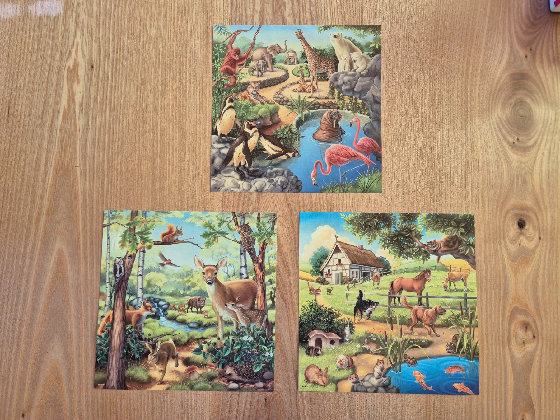 Ravensburger Puzzle: Ravensburger Puzzle 3x49 5+ - Tiere – Usato da Giswil venduto da 0G6 6