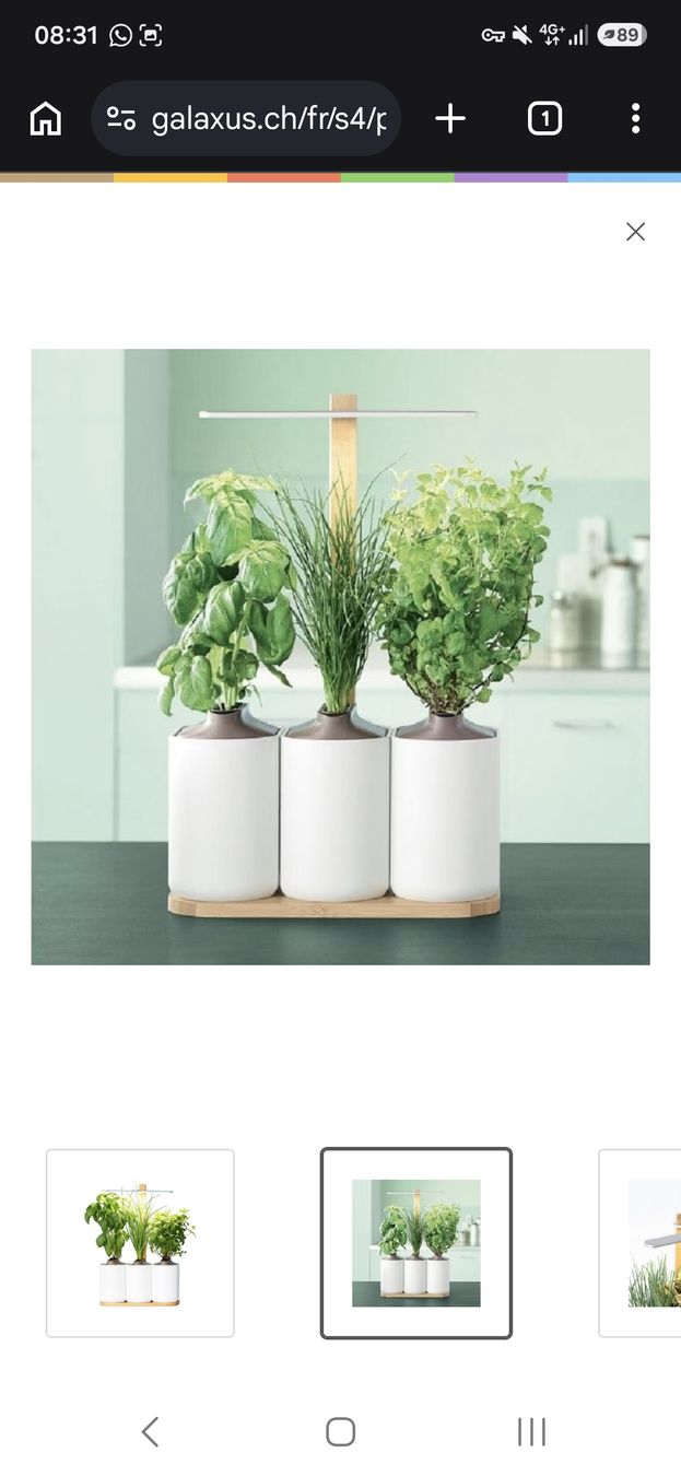 Piante & sementi: Jardin d'herbes LILO Connect  – Nuovo e nell'imballaggio originale da Plan les ouates venduto da Loolla 2