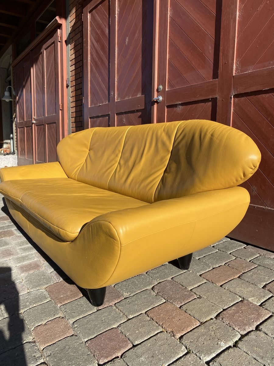 Divani: Rolf Benz Designer Sofas – Usato da Matzingen venduto da RottenApple 1