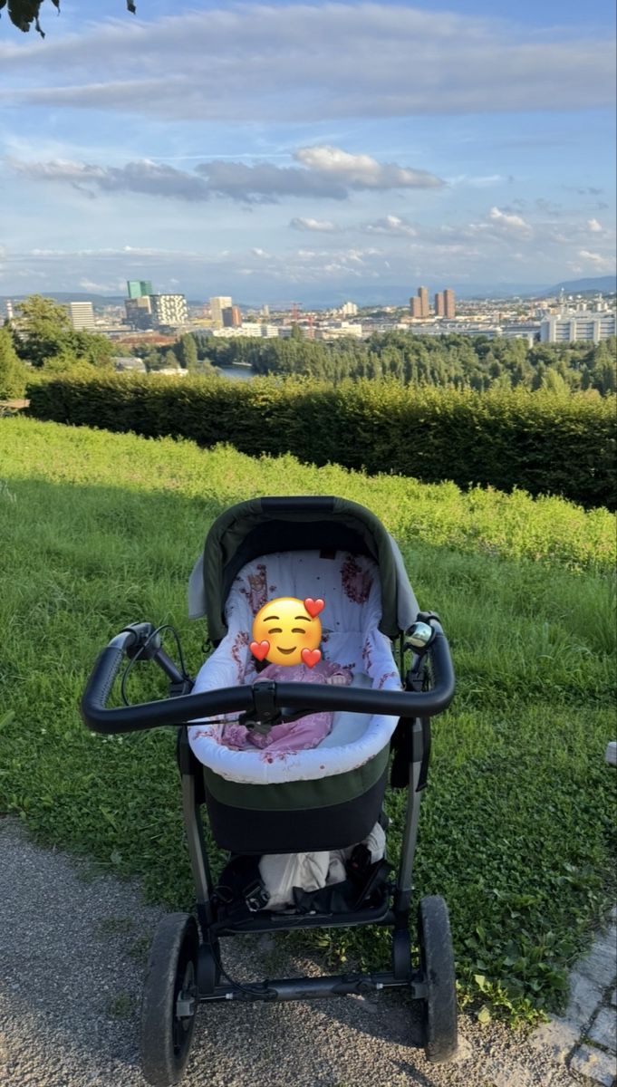 TFK Carrozzine: tfk 2in1 All-Terrain Stroller with handbrake – Usato da Zürich venduto da lui_ns5h 3