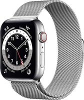 Apple Watch Series 6, 44mm, Edelstahl, Cellular Top Zustand