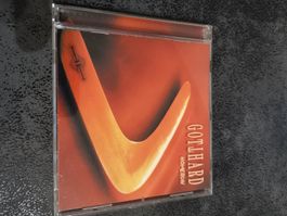 CD Gotthard Homerun