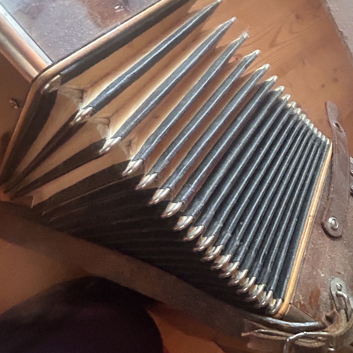 Hohner Strumenti musicali: Hohner Erika Akkordeon Schweiz! – Usato da Laufen venduto da belleskulptur 5