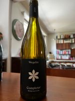Wegelin Completer 2019