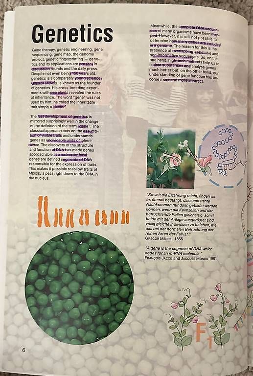 Libri: NATURA Biology for Bilingual Classes – Usato da Merlischachen venduto da tsb-2025 2