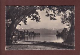 THUN - Panorama und Bächimatt