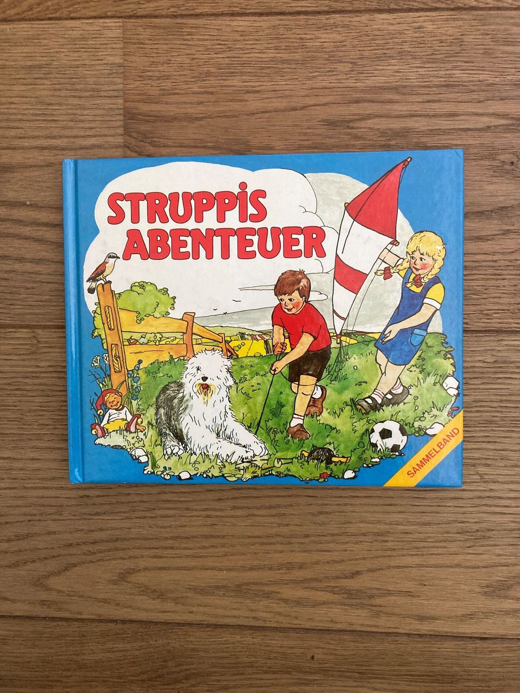 Libri: Struppi's Abenteuer - Bilderbuch – Nuovo (secondo la descrizione) da Zollikofen venduto da gamel01