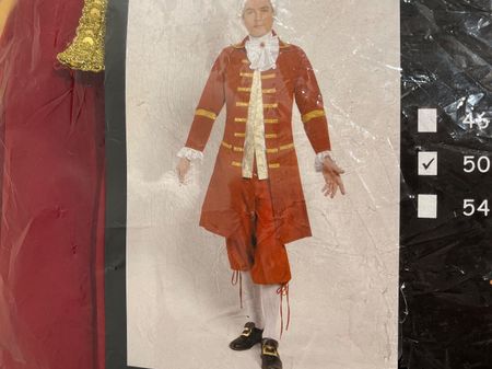 Prunkvolle historisches Fasnachts-Kostüm