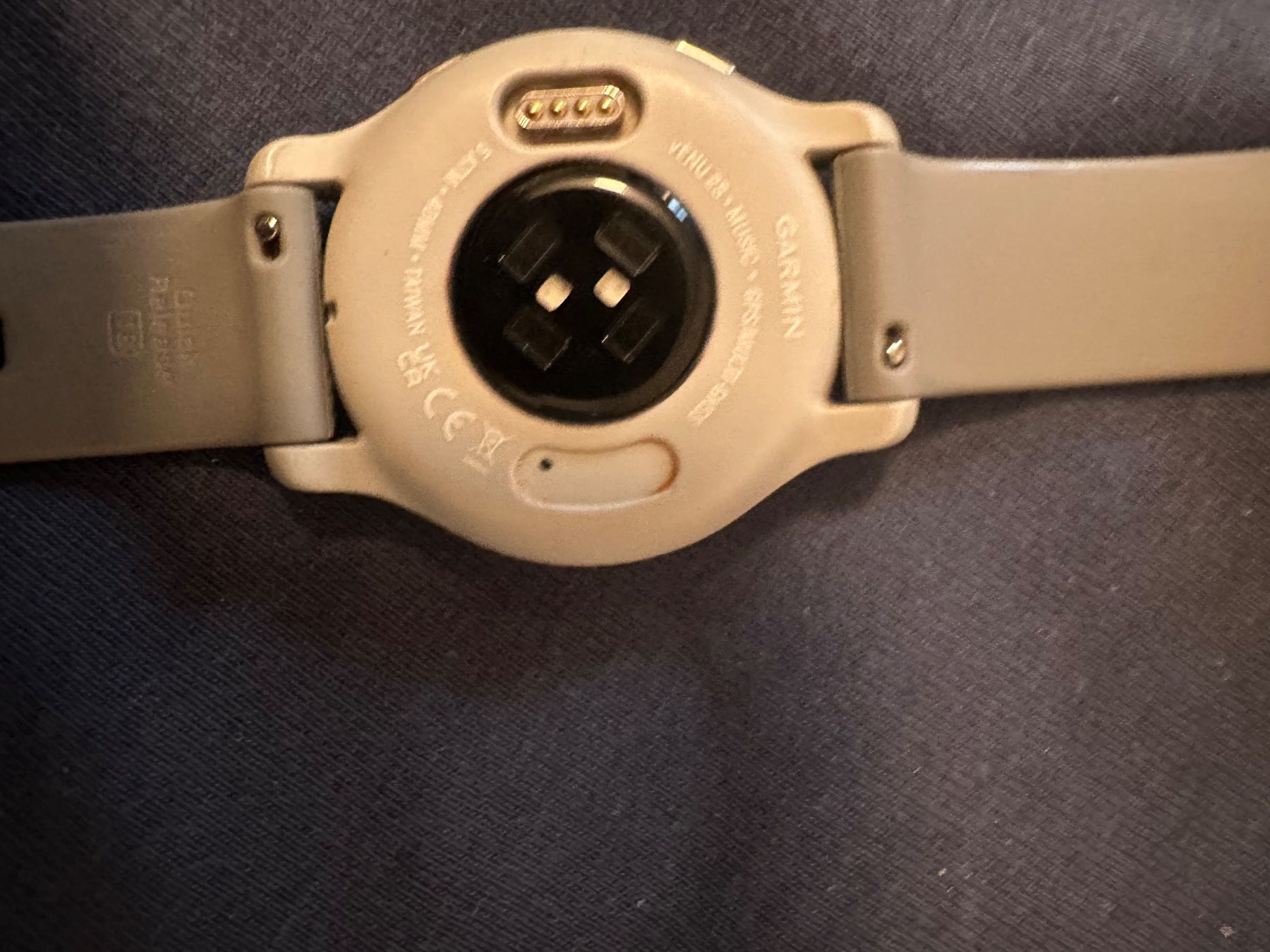 Garmin Smartwatch: Garmin venus 2s (40mm) – Usato da Zürich venduto da Blublubli 2