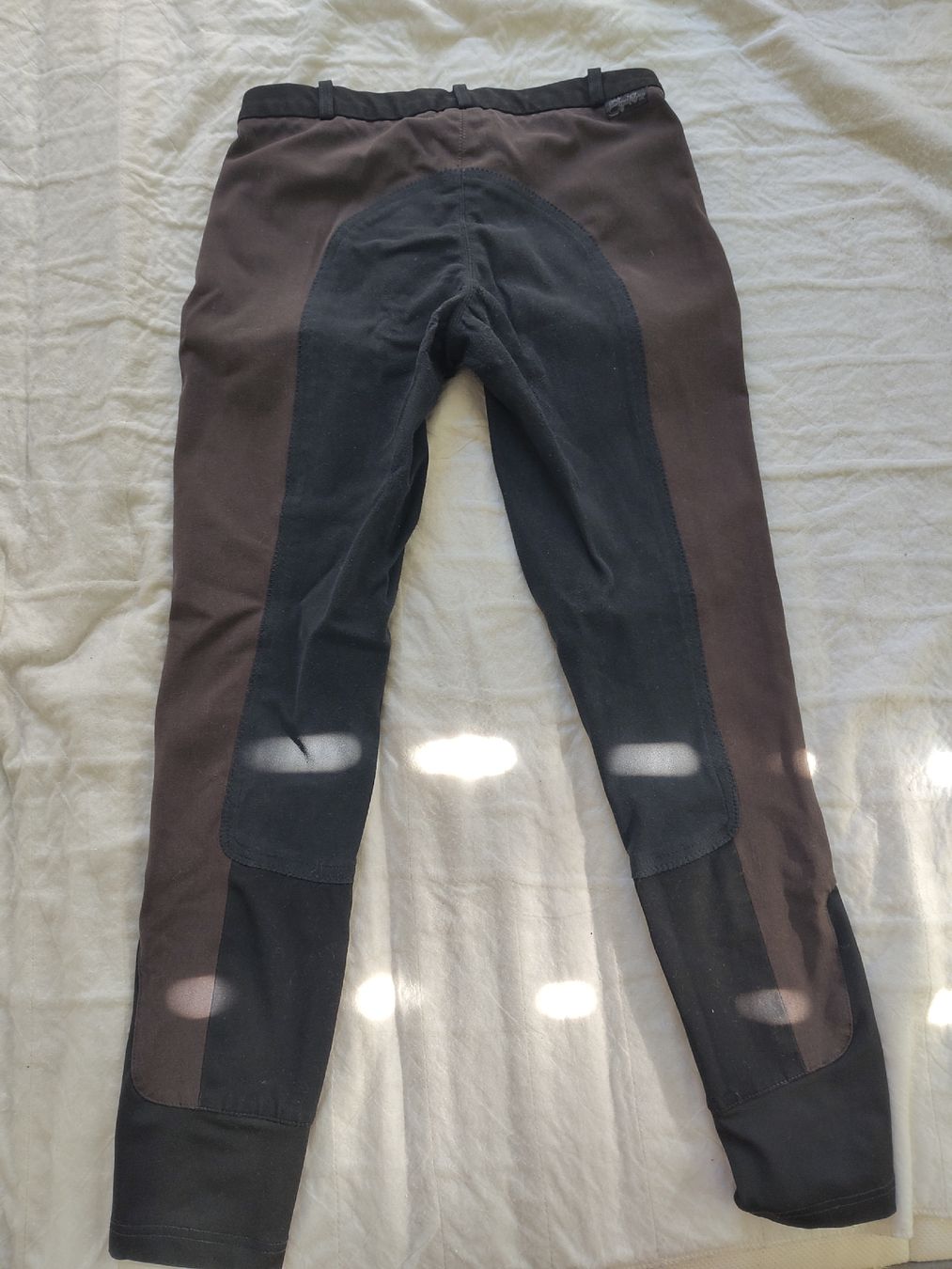 Pantaloni: Reithose Equilibre – Usato da Zürich venduto da mar_n989 1