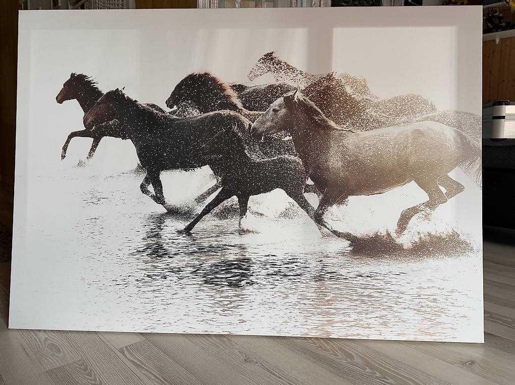 Poster & Bilder: Bild – Gebraucht aus Diemerswil von snoeggler