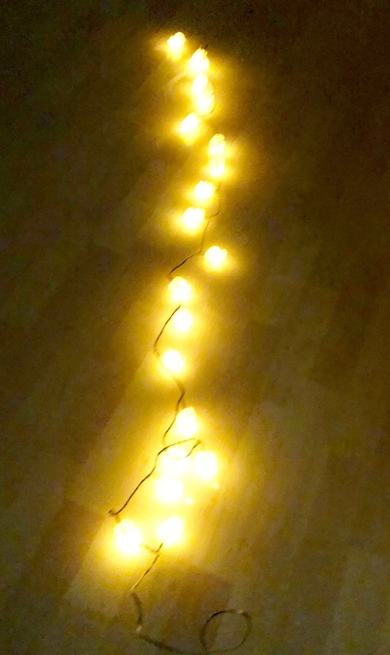 Ghirlande e barre luminose: Lichterkette mit Enten – Nuovo (secondo la descrizione) da Glattbrugg venduto da Ariel012 5
