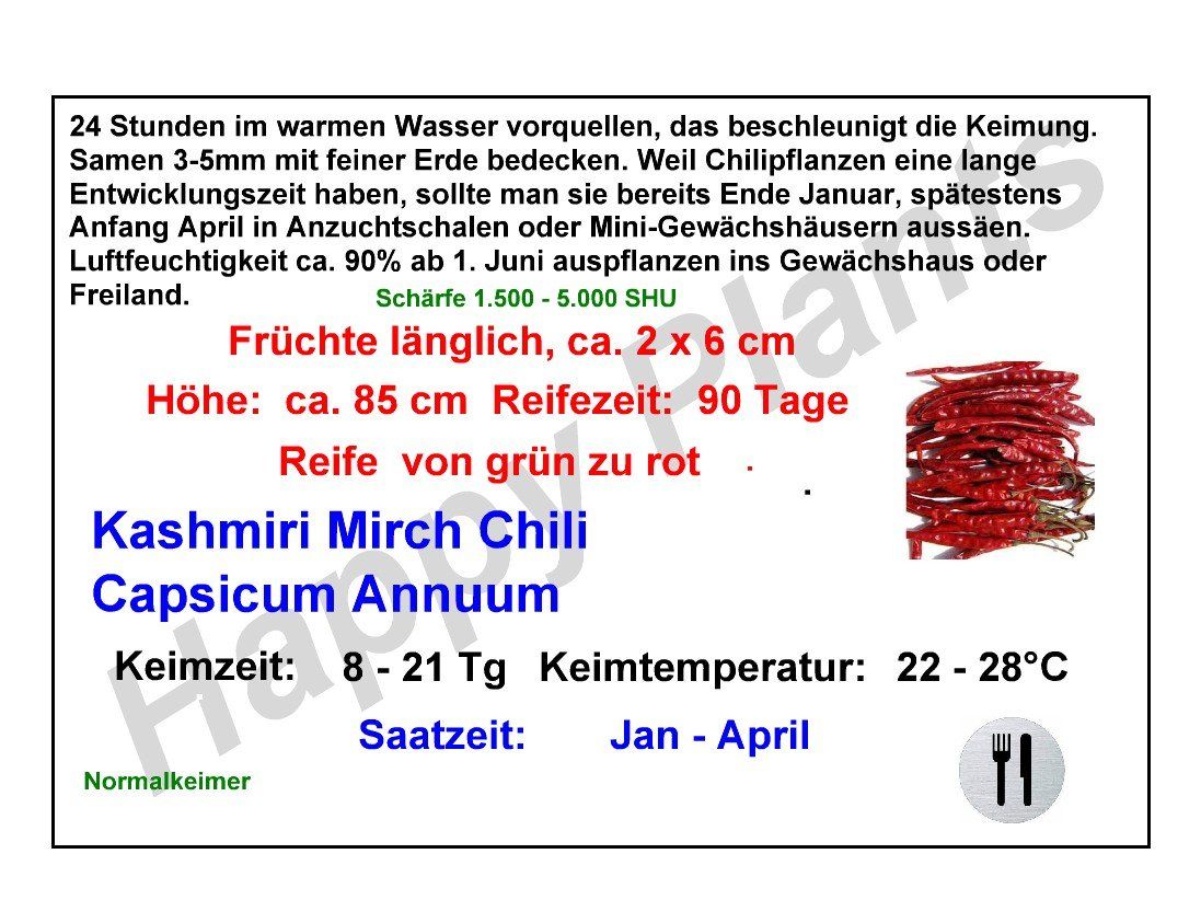 Piante & sementi: Kashmiri Chili - Capsicum annuum - 30 Samen – Nuovo e nell'imballaggio originale da Sumiswald venduto da Cham14559 3