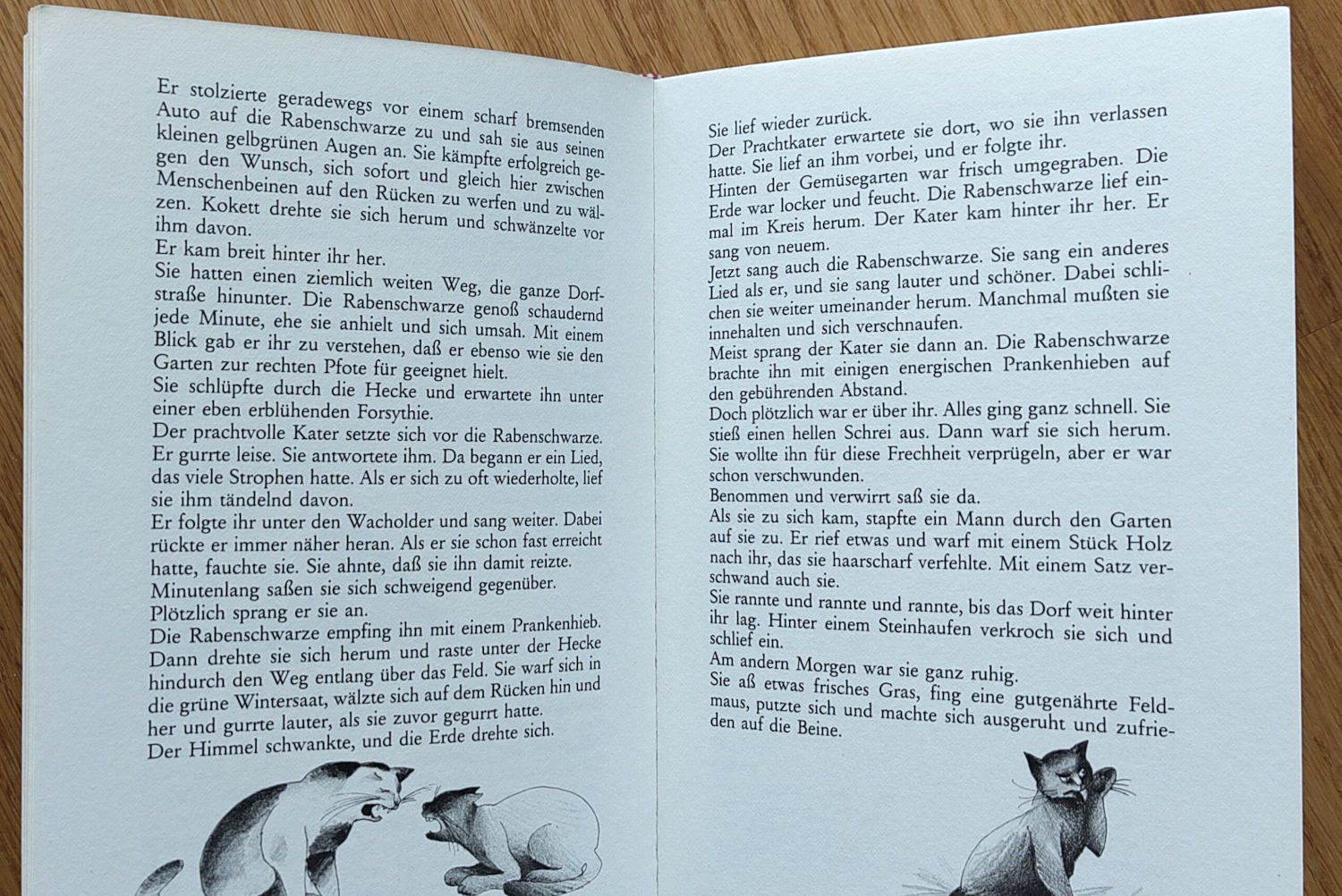 Libri: Die Rabenschwarze, eine Katzengeschichte – Usato da Zürich venduto da kba_579s 3