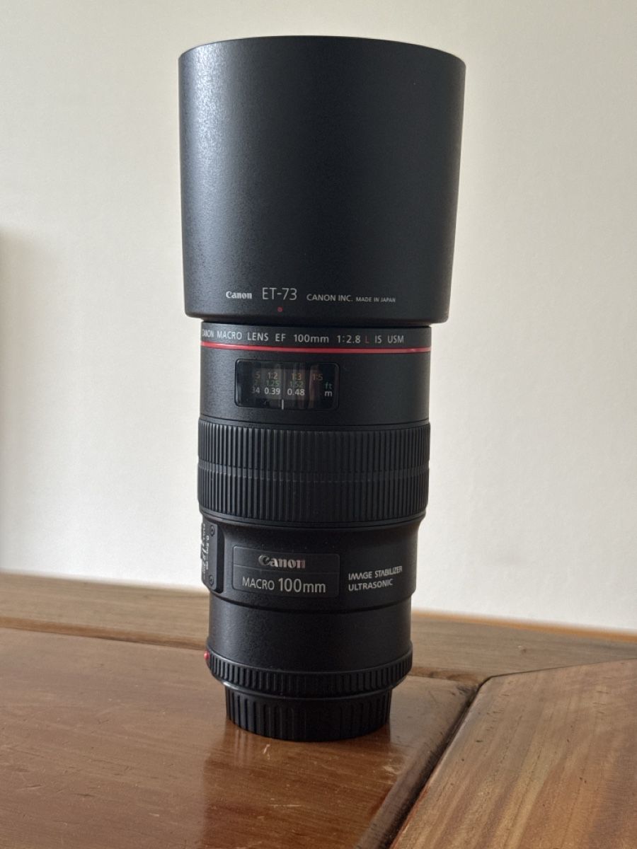 Canon Obiettivi: Canon EF 100mm f2.8 L Macro – Usato da Zürich venduto da sfd-shredder