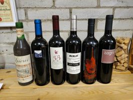 10 Flaschen Wein aus Schweiz und Spanien