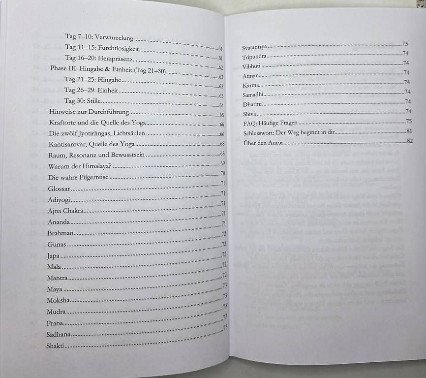 Libri: Shiva  Das formlose Bewusstsein / Taschenbuch – Nuovo e nell'imballaggio originale da Basel venduto da Shankar 3