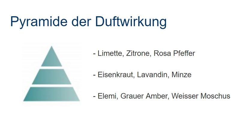 Diffusori di oli essenziali: Duftlampen Parfum Zitronenaroma, 500ml – Nuovo e nell'imballaggio originale da Wettingen venduto da Swala 2