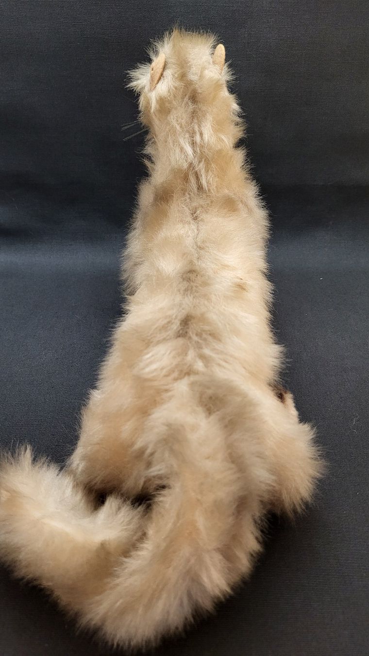 Steiff Giocattoli: STEIFF Wiesel Minky – Usato da Basel venduto da spinne02 3