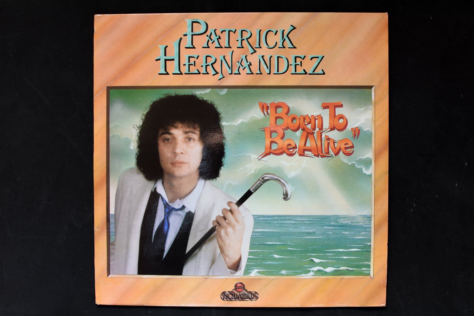 Vinyles: Patrick Hernandez - Born to Be Alive – D'occasion à Belmont-sur-Yverdon par ag97