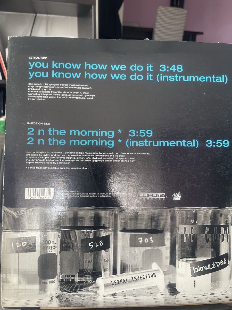 Dischi in vinile: Ice Cube / You know how we do it – Usato da Dagmersellen venduto da stonefinger 1