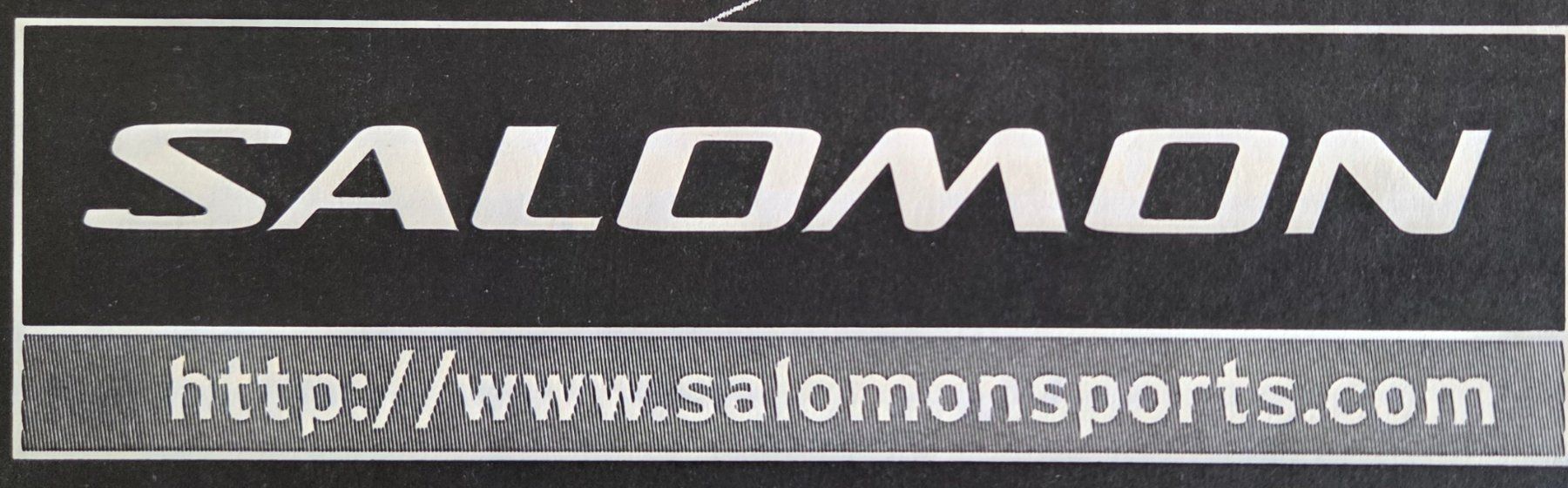 Salomon Inline-Skating & Rollschuhe: Inline Skates Women's Gr. 38 mit Schoner – Gebraucht aus Dübendorf von Wombatz 5