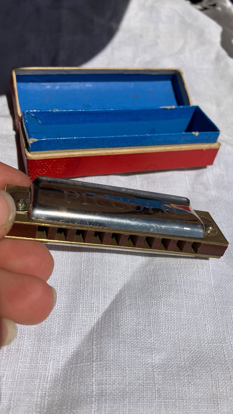 Hohner Strumenti musicali: Harmonica Piccolo Mundharmonika antik ancien – Usato da St-Cierges venduto da LeRegain 6