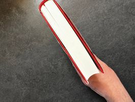 Tolles Buch, Roman, DE