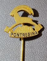 R395 - Anstecknadel Pontresina Steinbock Graubünden
