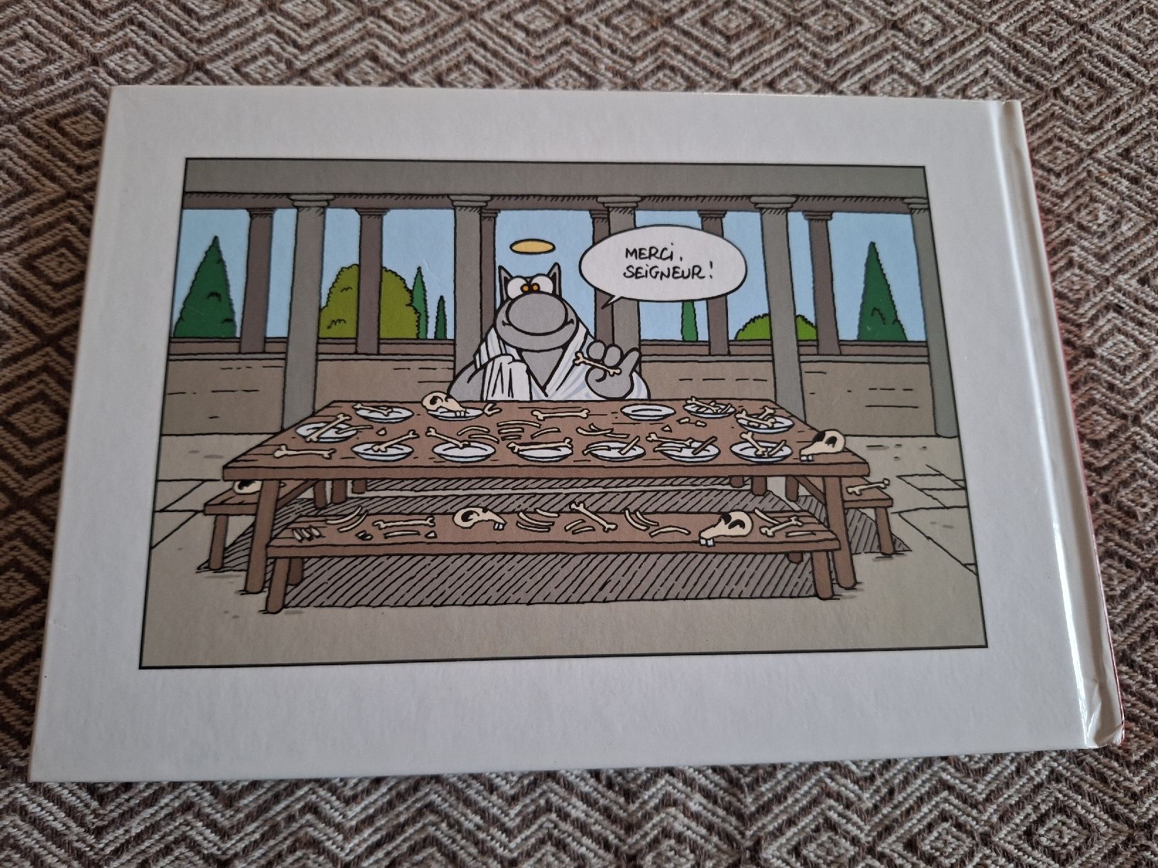 Fumetti: Le Chat est Parti - Philippe Geluck, édition originale – Usato da Genève venduto da lis_hw8n 1