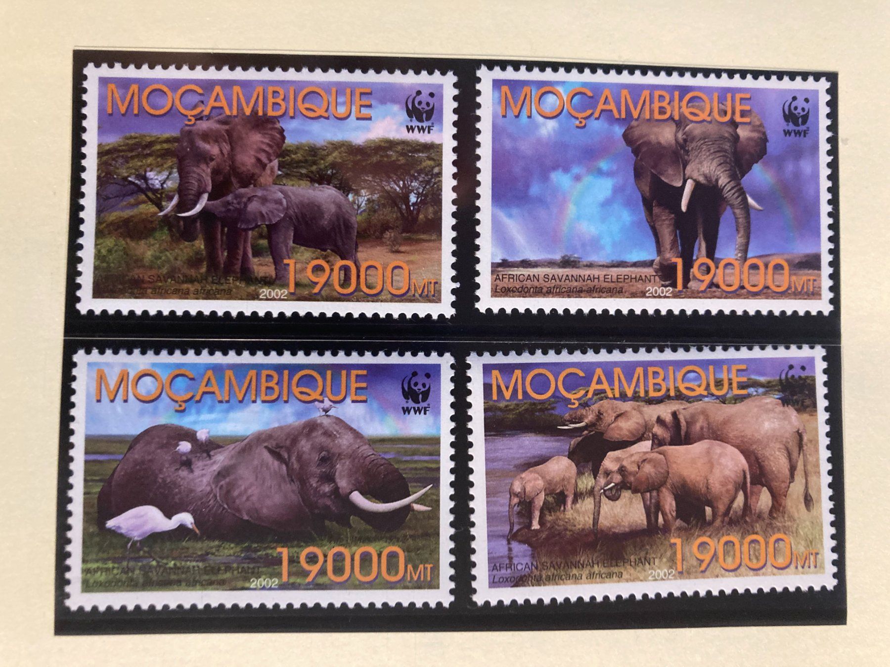 Tutti i francobolli: Mosambik 2002 Satz WWF Steppenelefant postfrisch – Nuovo (secondo la descrizione) da Liestal venduto da schnueps