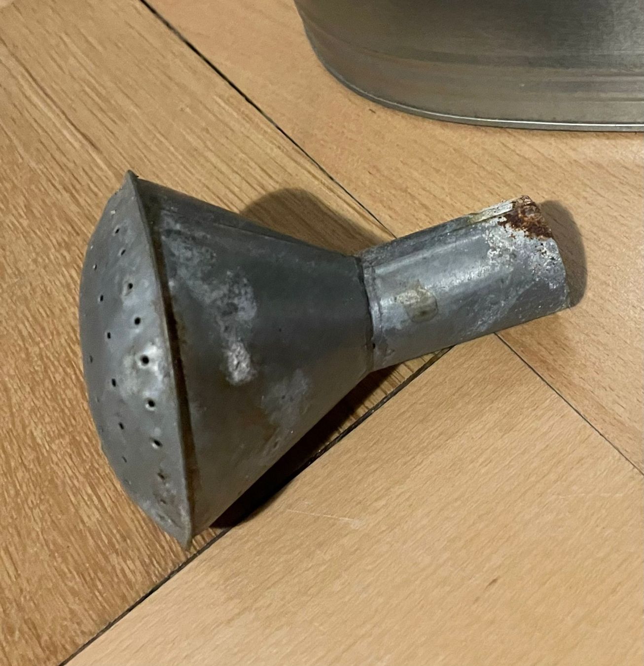 Bewässern & Giessen: Giesskanne 10 Liter mit Brausekopf – Gebraucht aus Zürich von  4