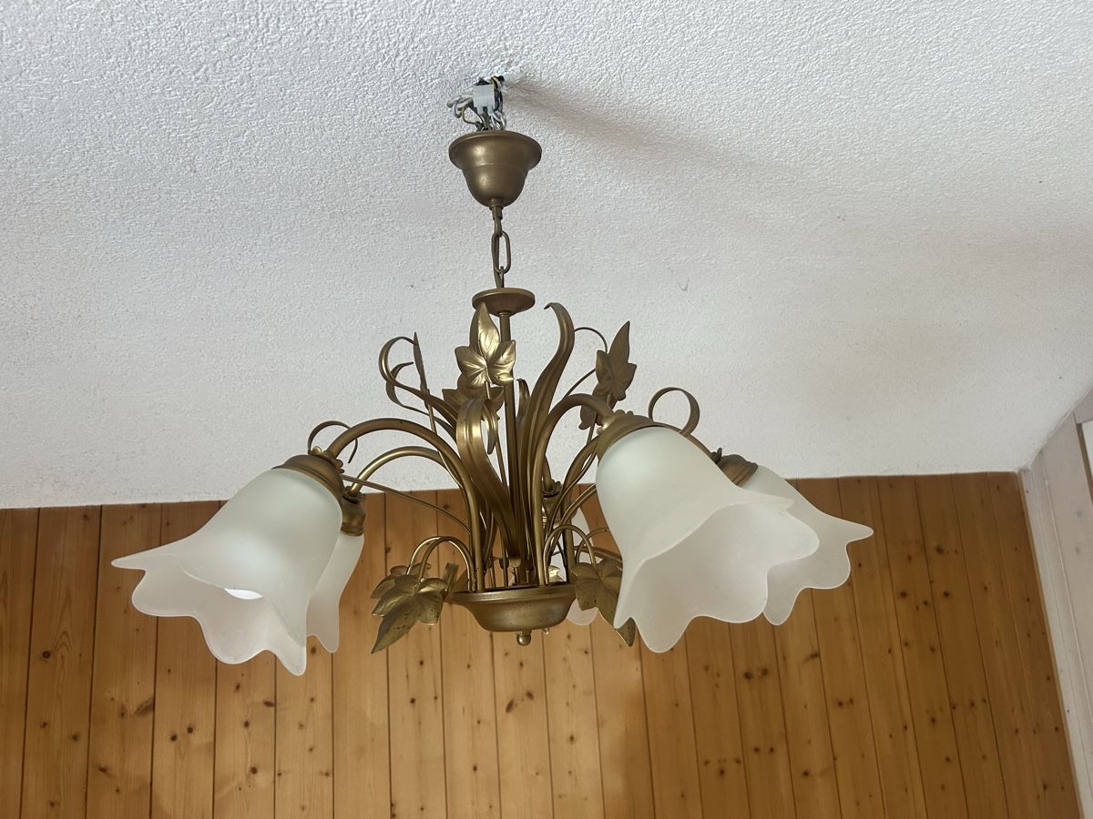 Lampadari & plafoniere: 5-Arm-Deckenleuchte Messing-Optik Blätter-Design – Usato da Laupen ZH venduto da atmagym 1