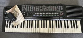 Casio Keyboard CT-310 - Fun für die ganze Familie!