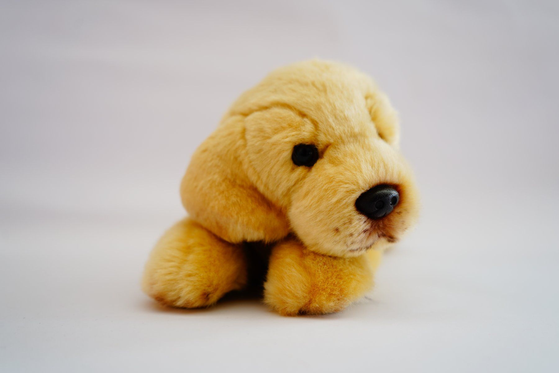 Giocattoli: Hund Kuscheltier – Usato da Ebikon venduto da lin_jr8x
