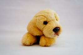 Hund Kuscheltier
