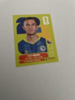 FIFA WM 2026 Amar Memic BIC 16