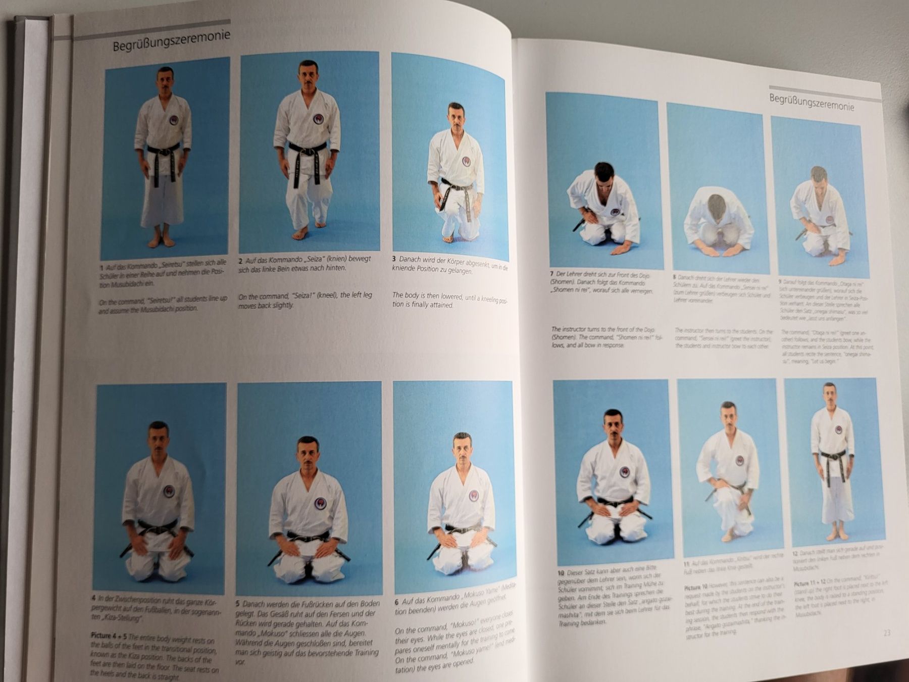Libri: Wado Ryu Karate Buch von Roberto Danubio – Usato da Rifferswil venduto da Jchb 2