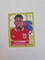 Panini Sticker PAN9