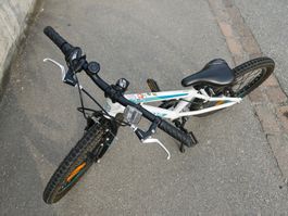Serious Cycles Rockville 20-Zoll Kindervelo