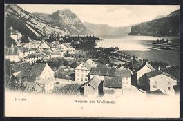 AK Weesen, Blick auf Ort und Wallensee