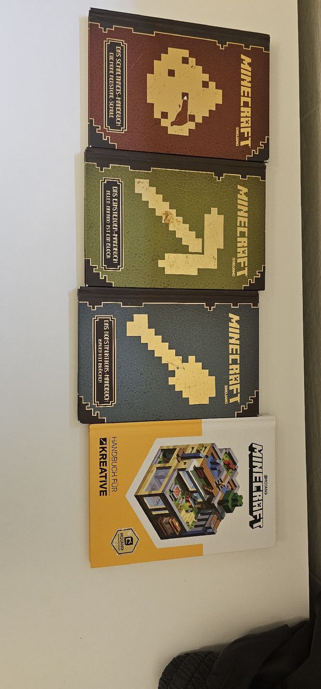 Libri: Minecraft Bücher – Usato da Bäretswil venduto da ema_b7vf