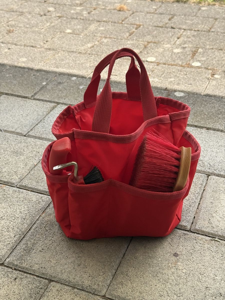Altro per la casa: Putzset für Pony/Shetty – Usato da Beckenried venduto da car_7d2w 2
