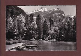 BLAUSEE - Zahlershorn - Birre