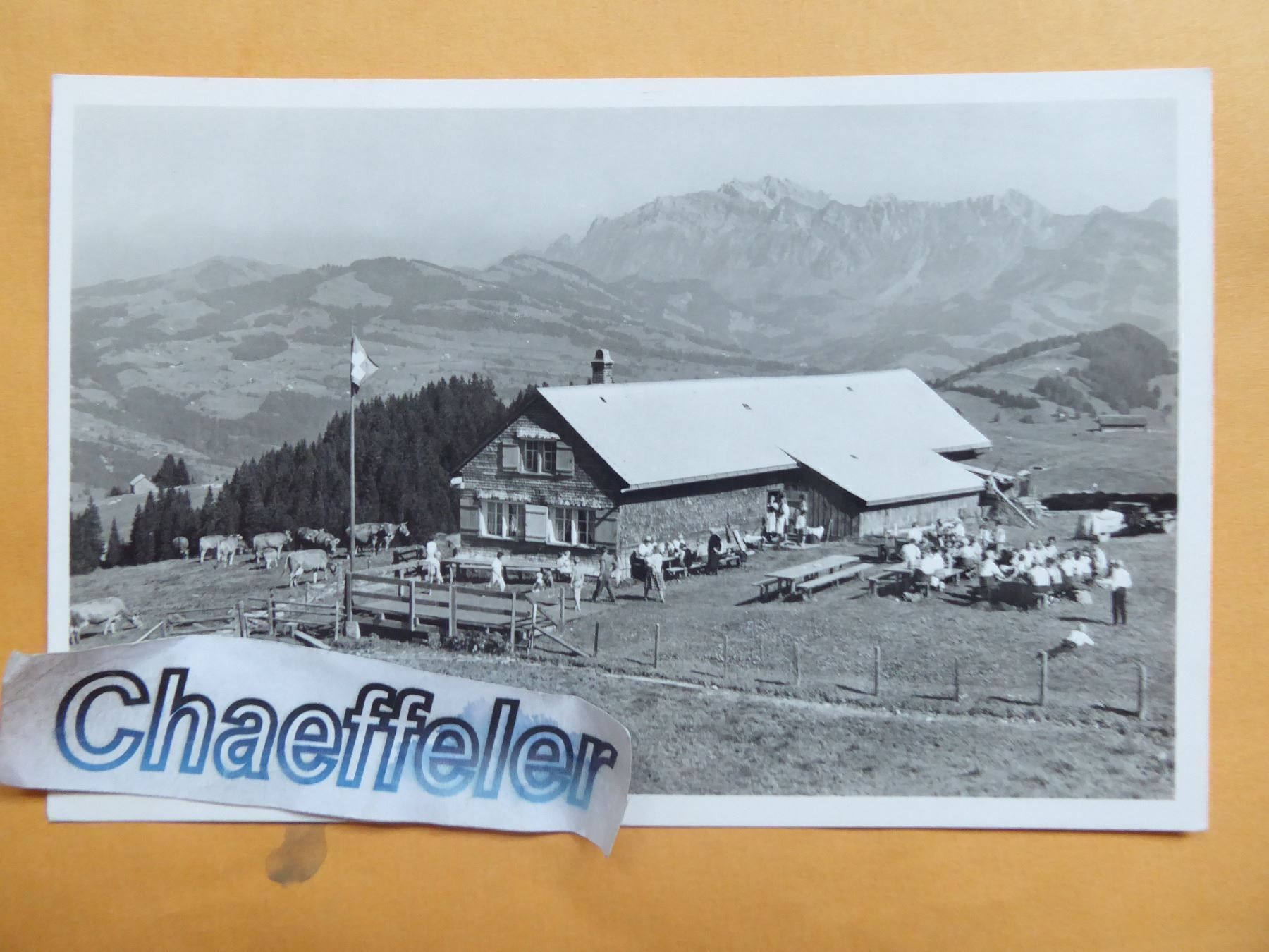 Cartoline postali: Oberbächen, Ebnat-Kappel – Nuovo (secondo la descrizione) da Zürich venduto da Chaeffeler