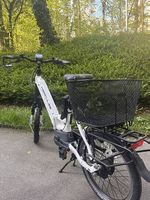 E-Bike Hercules Rob Fold 9 Performance 