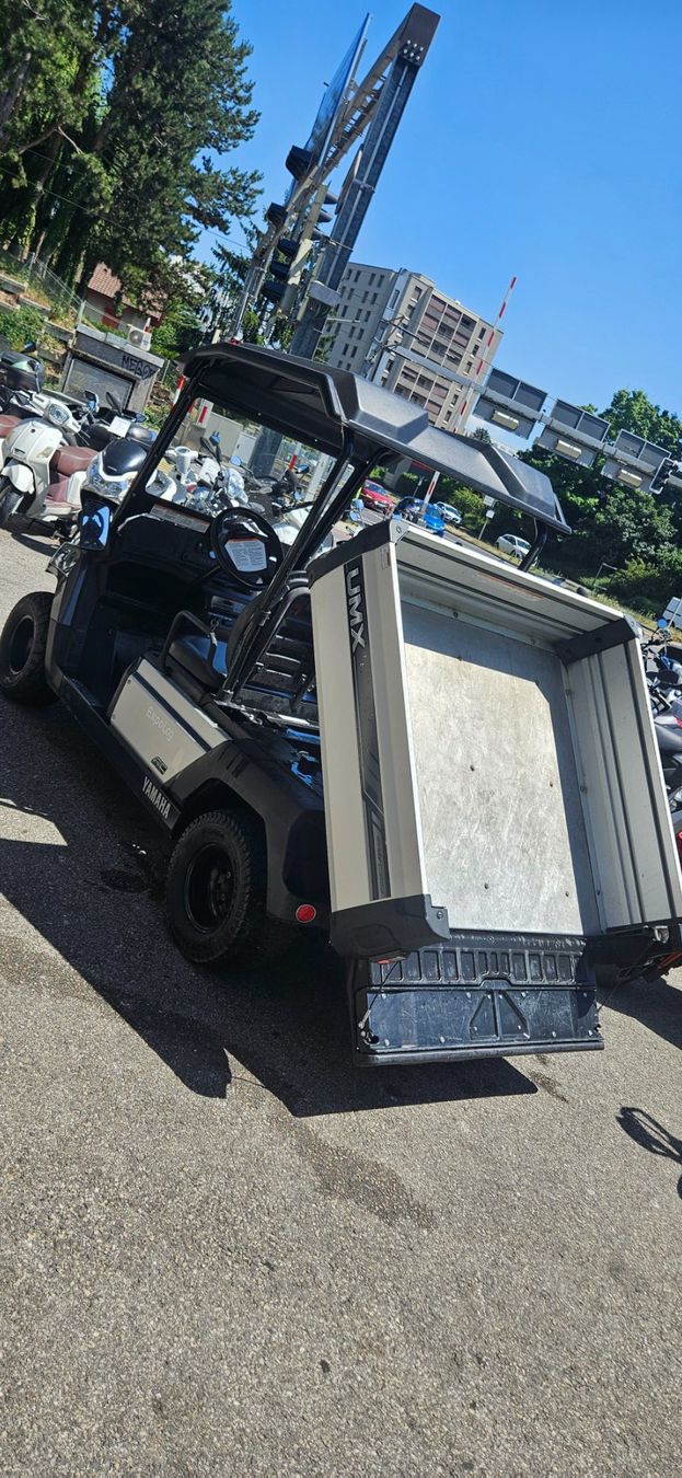 Veicoli elettrici: Véhicule Yamaha UMX AC – Usato da Chavannes-Renens venduto da Sticky64 3
